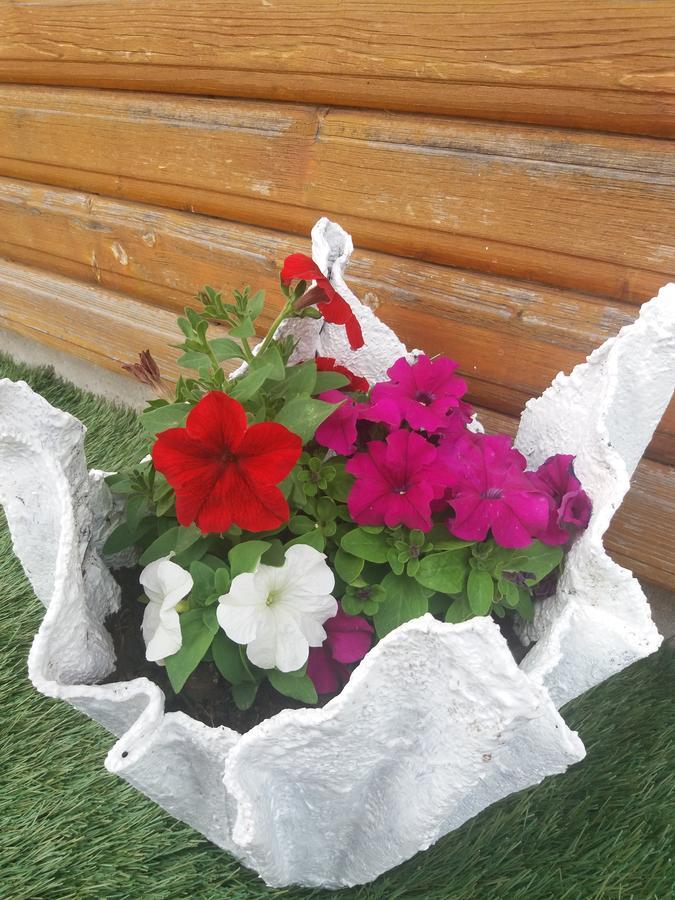 Apartment & Rooms Sweet Dreams Žabljak Екстериор снимка